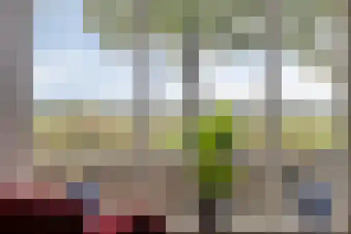 Zuidwal 11 D 's-Hertogenbosch thumbnail 5