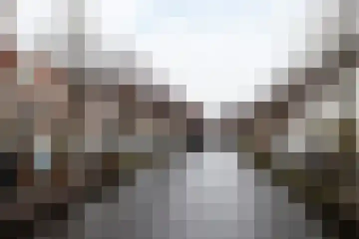 Zuidwal 11 Den Haag thumbnail 24