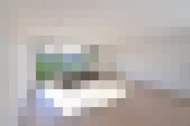 Zuidwal 129 Huizen thumbnail 5