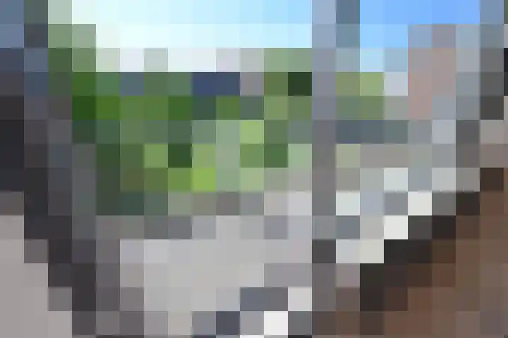 Zuidwal 129 Huizen thumbnail 9