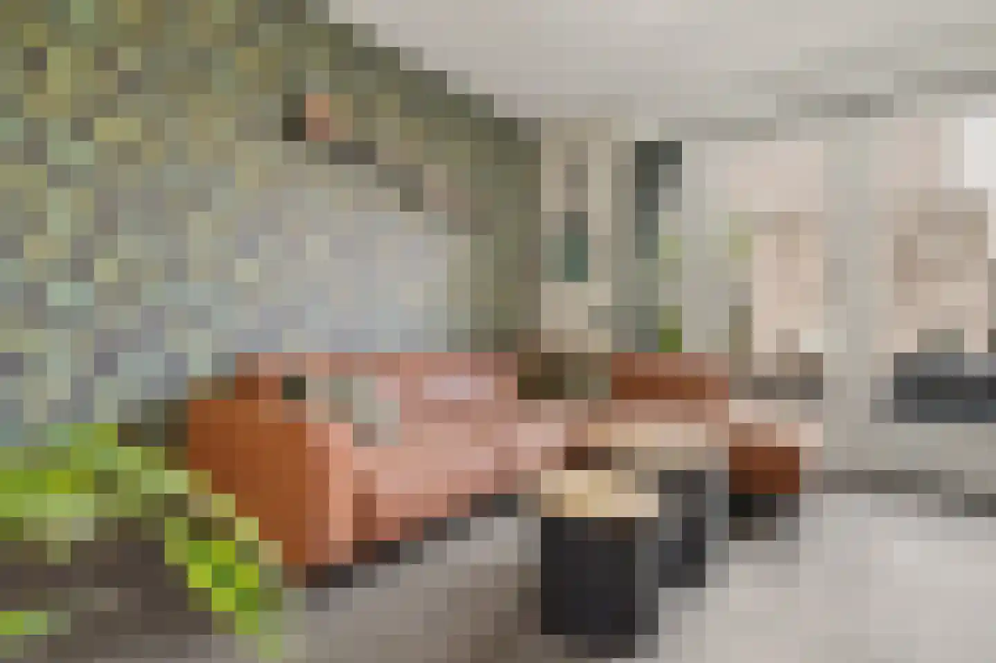 Zuidwal 131 Geertruidenberg thumbnail 9