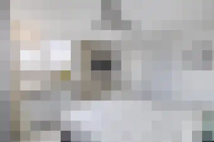Zuidwal 137 Huizen thumbnail 12