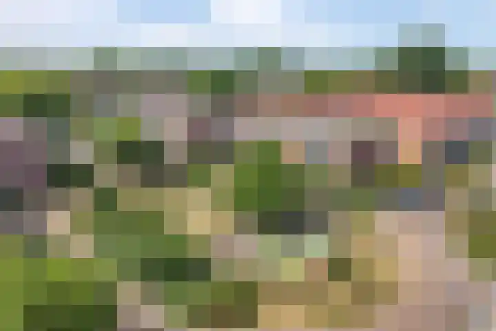 Zuidwal 137 Huizen thumbnail 18