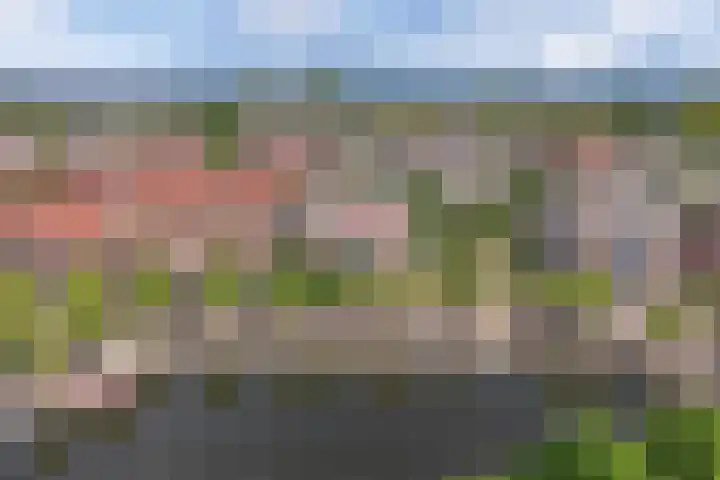 Zuidwal 137 Huizen thumbnail 19