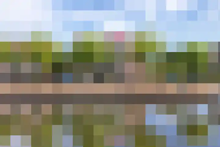 Zuidwal 137 Huizen thumbnail 4
