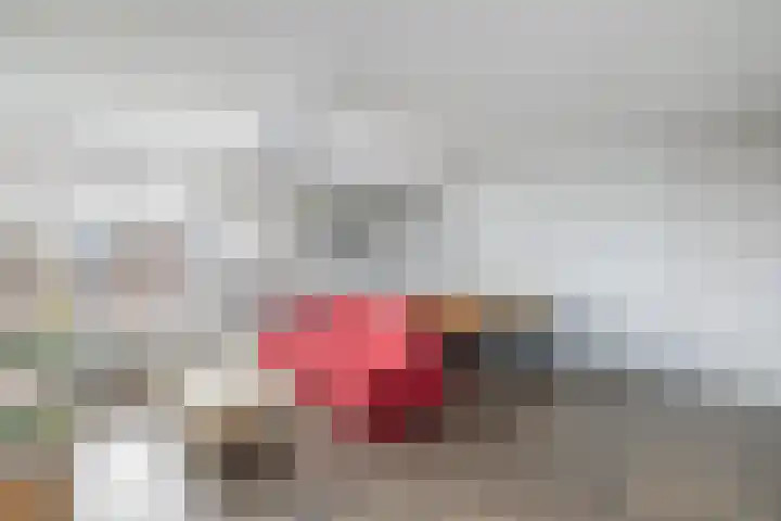Zuidwal 137 Huizen thumbnail 8