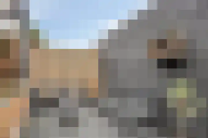 Zuidwal 19 a Gennep thumbnail 35