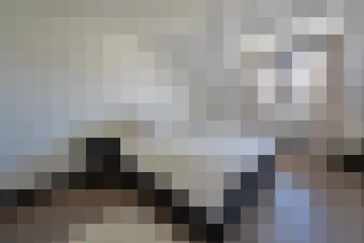 Zuidwal 19 Huizen thumbnail 15