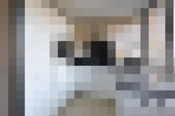 Zuidwal 19 Huizen thumbnail 6