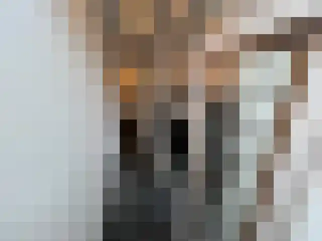 Zuidwal 2 Den Haag thumbnail 4