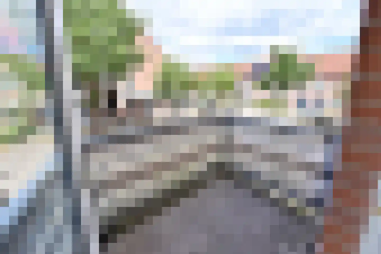 Zuidwal 21 Huizen thumbnail 6