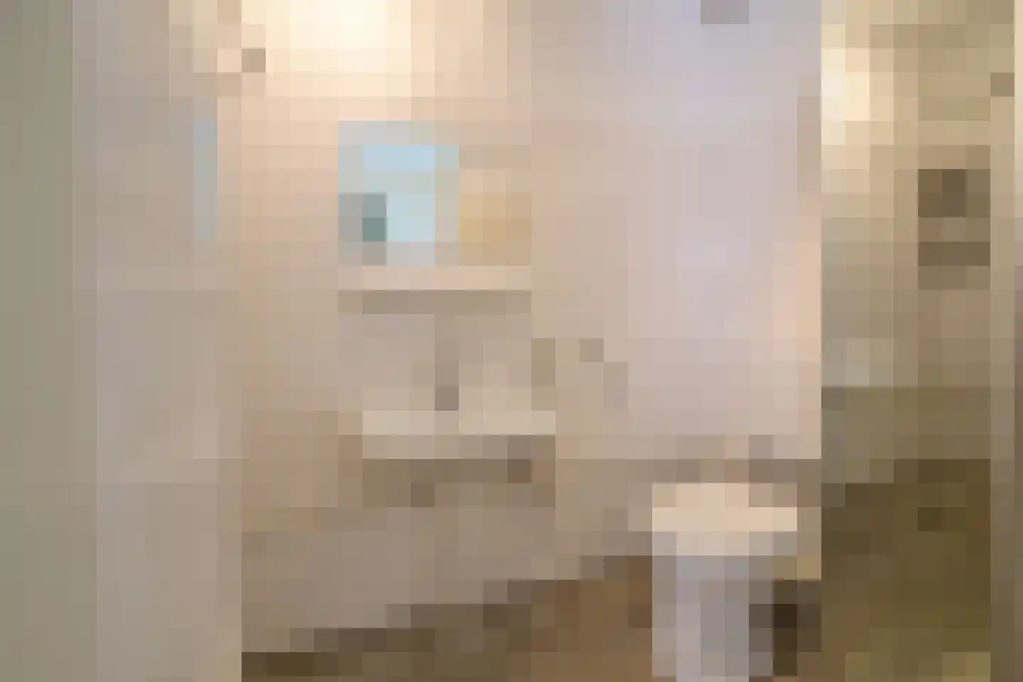 Zuidwal 21 Huizen thumbnail 7