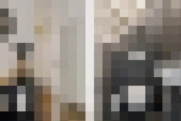 Zuidwal 22 Huizen thumbnail 14