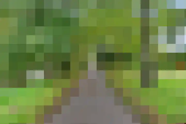 Zuidwal 22 Huizen thumbnail 36