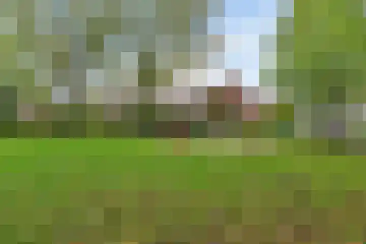 Zuidwal 22 Huizen thumbnail 37