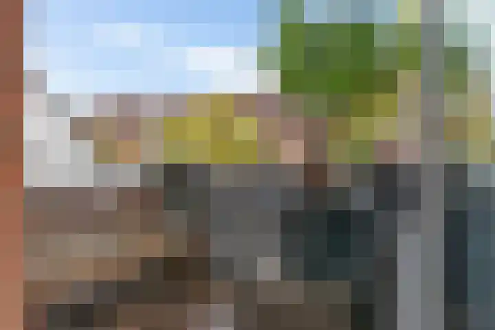 Zuidwal 22 Huizen thumbnail 4