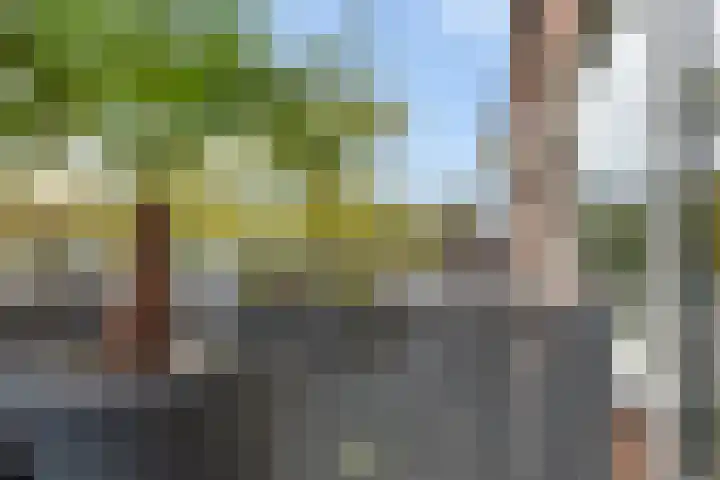 Zuidwal 22 Huizen thumbnail 5
