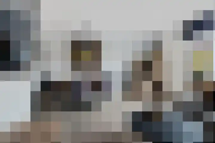 Zuidwal 22 Huizen thumbnail 7