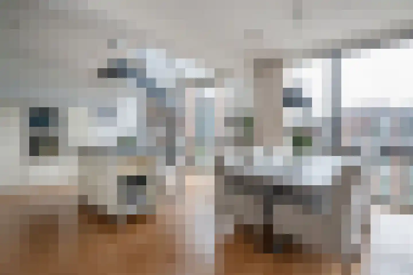 Zuidwal 26 Delft thumbnail 12
