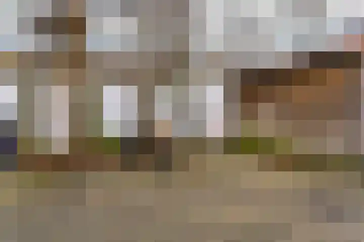 Zuidwal 26 Den Haag thumbnail 31