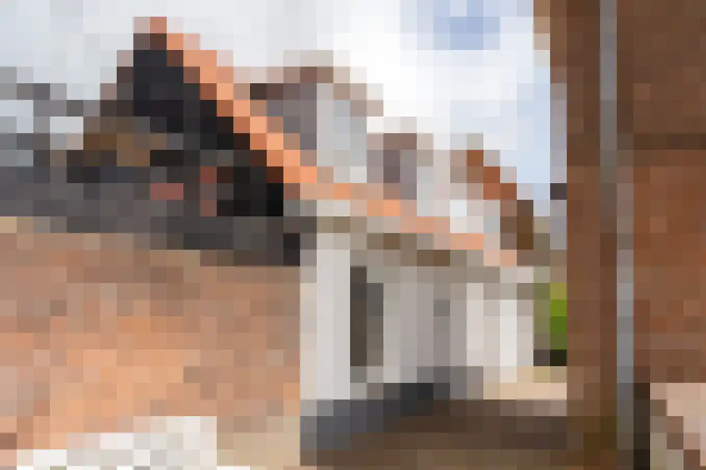 Zuidwal 26 Leerdam thumbnail 33