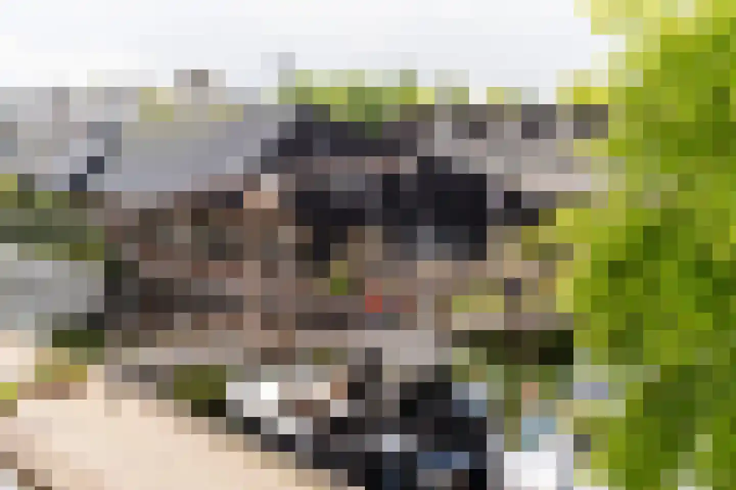 Zuidwal 26 Leerdam thumbnail 37