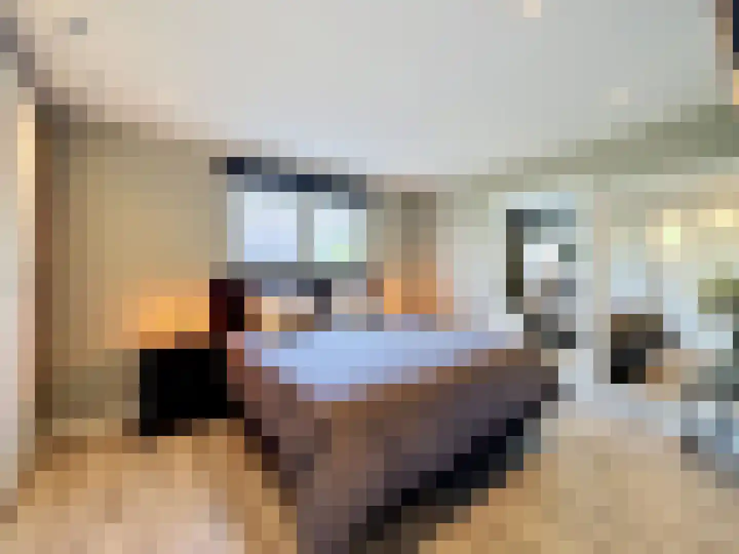 Zuidwal 26 Oostburg thumbnail 16