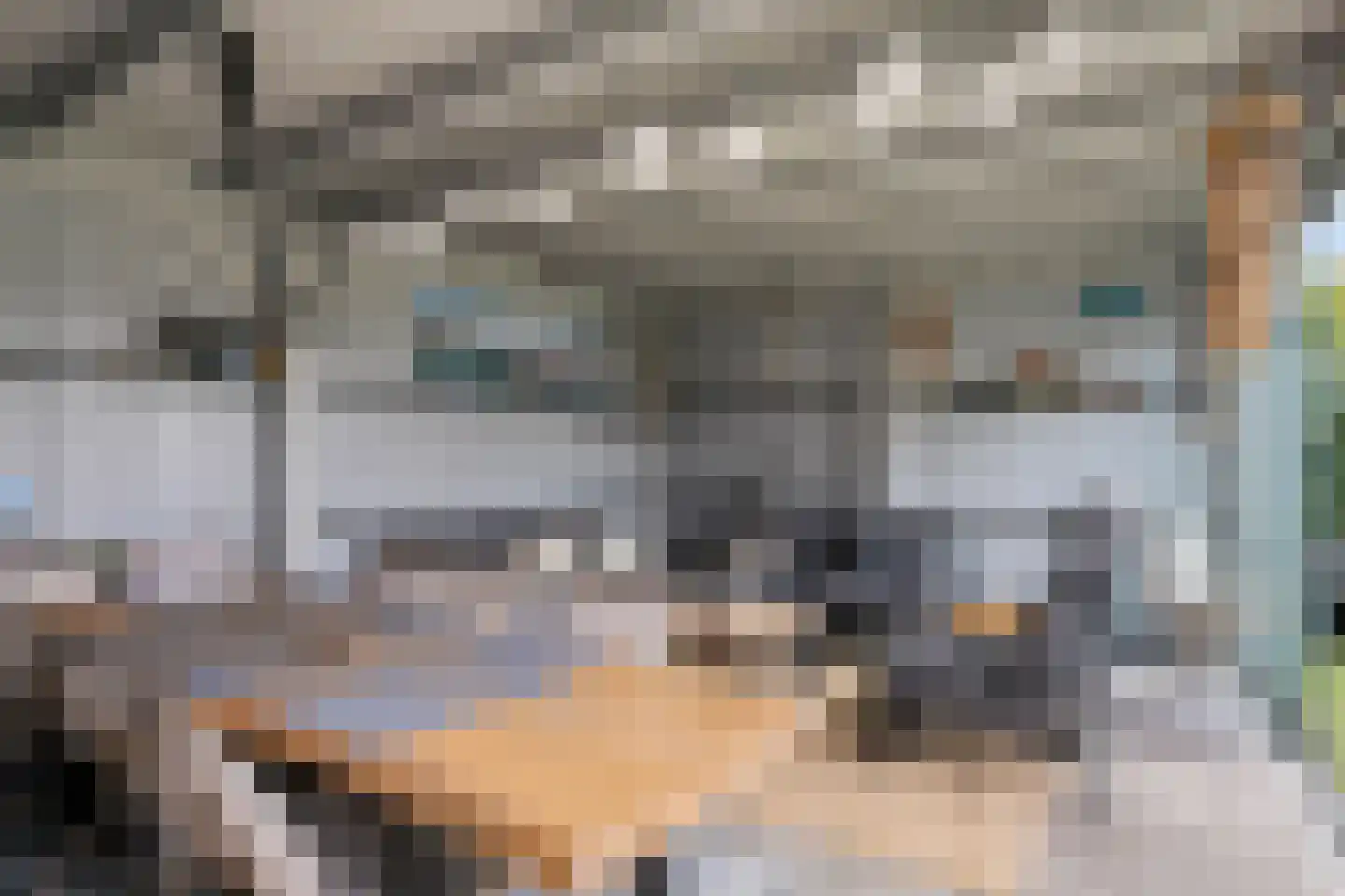 Zuidwal 30 Oostburg thumbnail 31