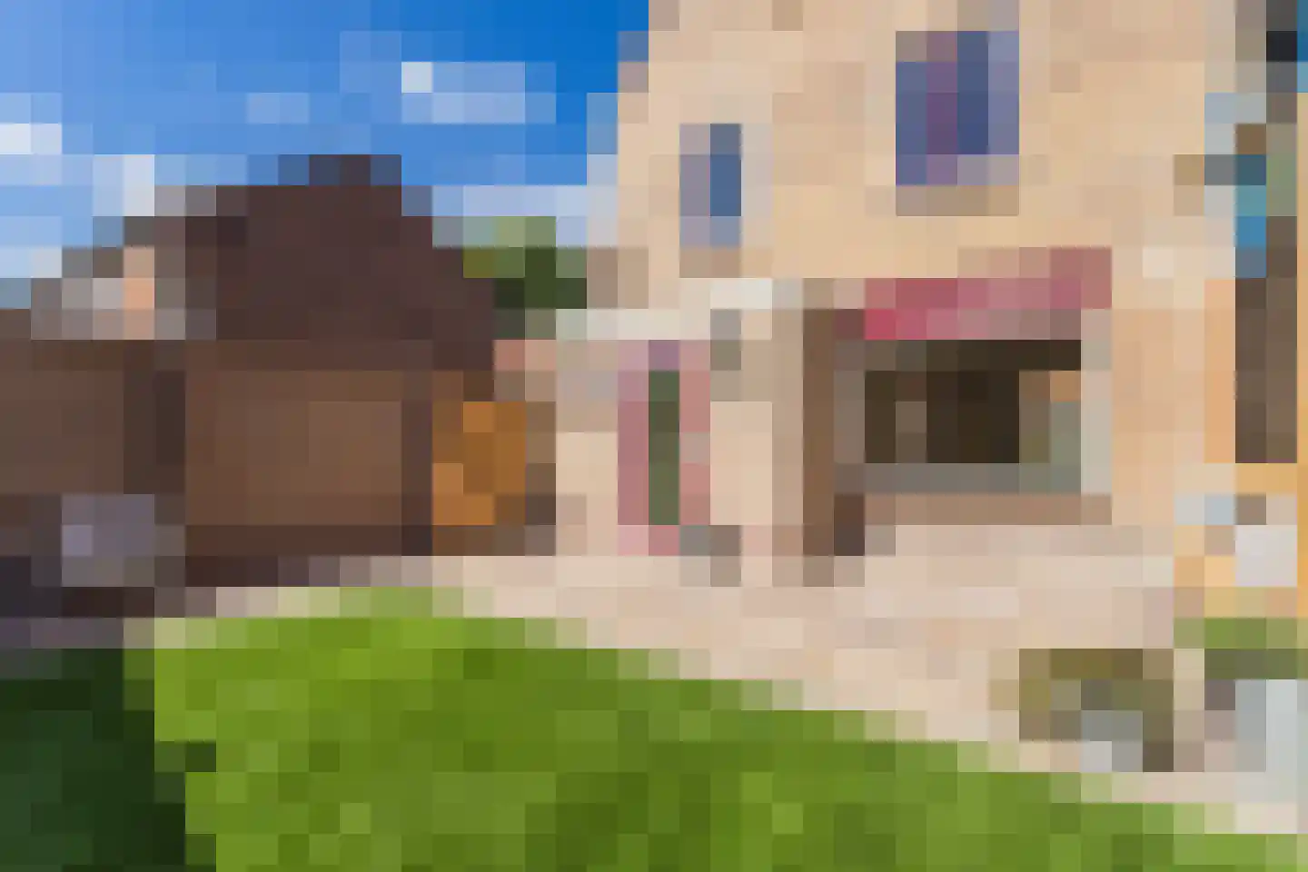 Zuidwal 38 Rhenen thumbnail 38