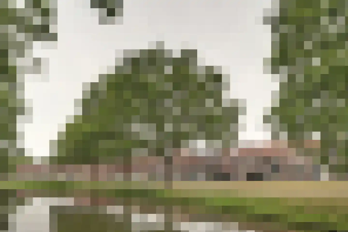 Zuidwal 45 Steenbergen thumbnail 6