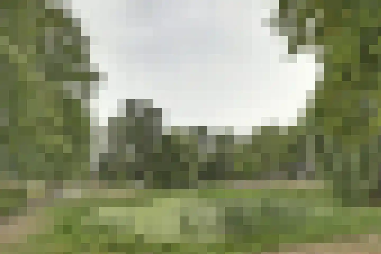 Zuidwal 45 Steenbergen thumbnail 7