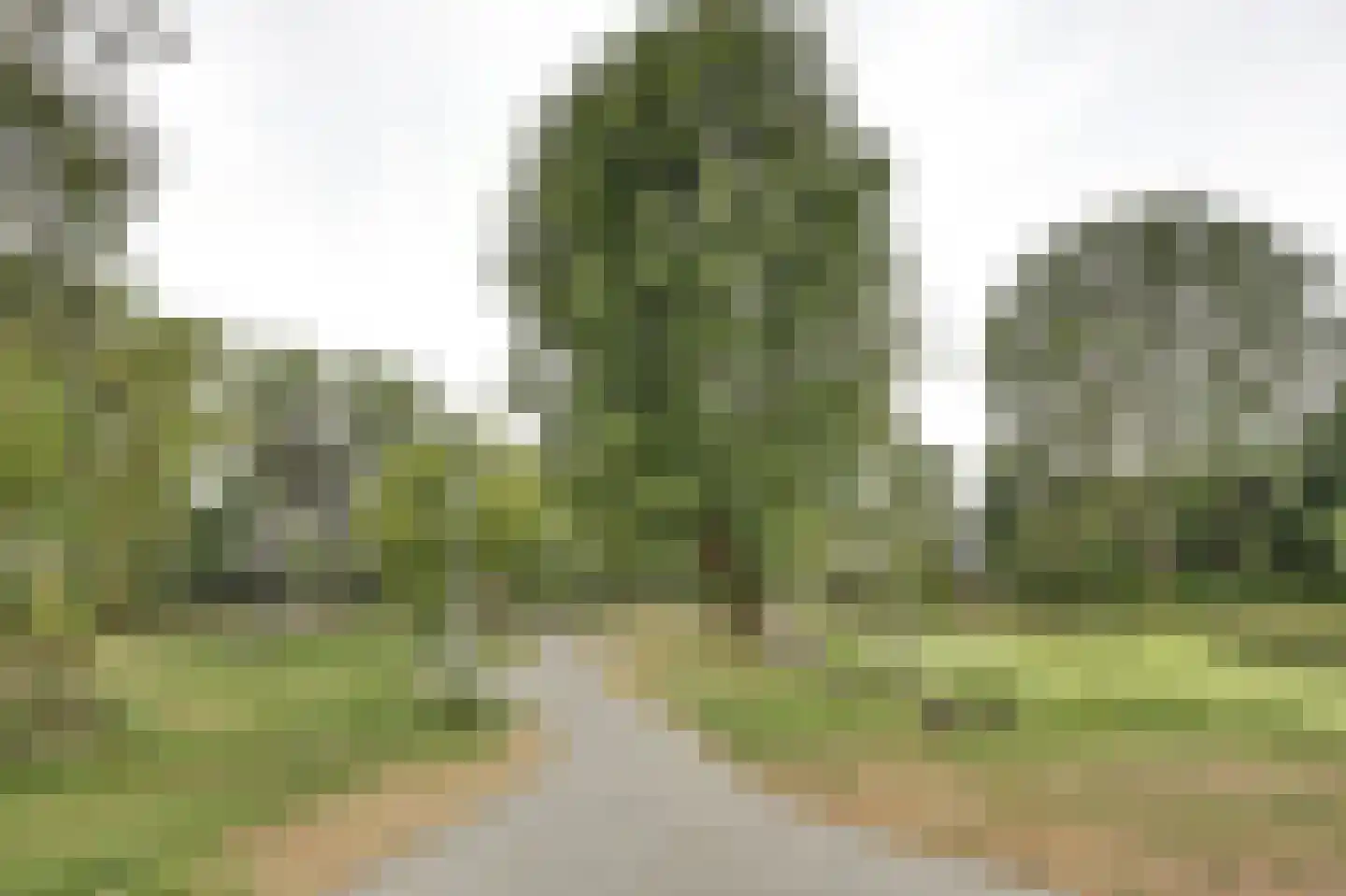 Zuidwal 45 Steenbergen thumbnail 8
