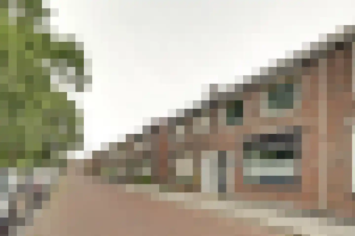Zuidwal 45 Steenbergen thumbnail 9