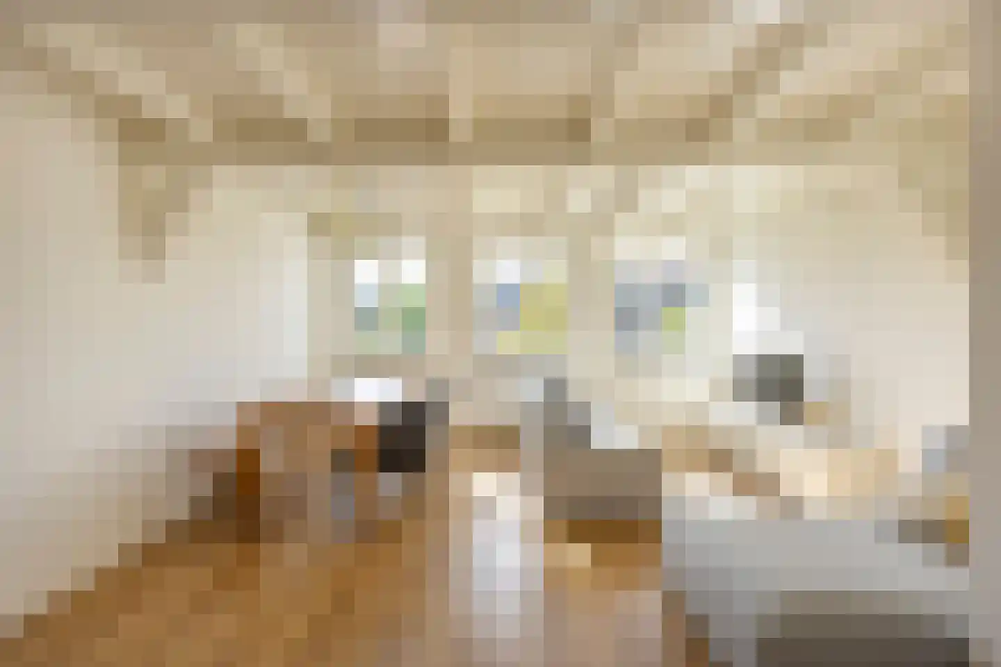 Zuidwal 51 C Den Haag thumbnail 6