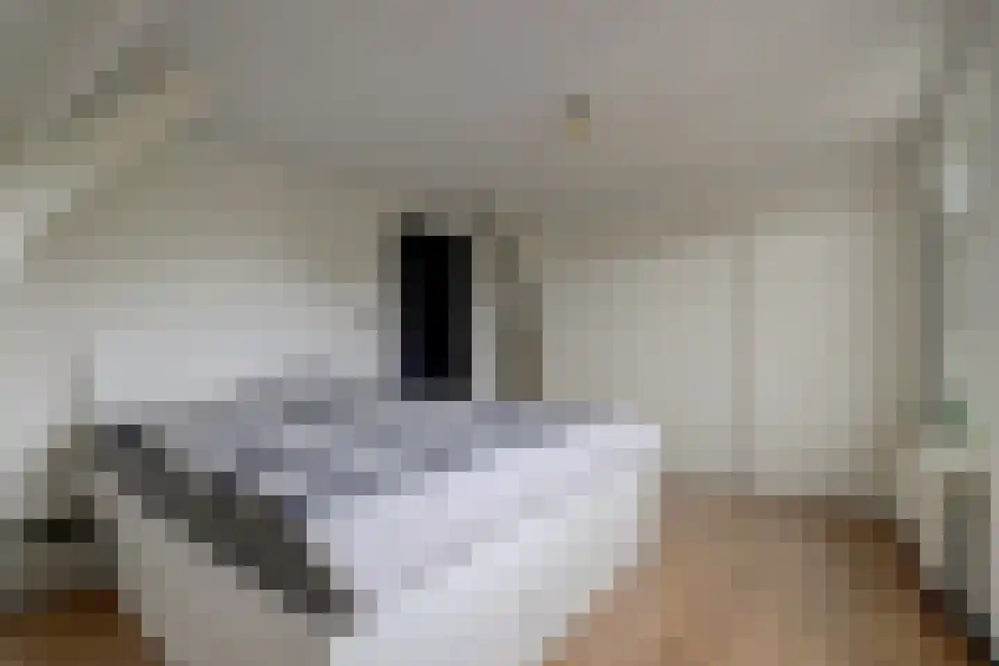 Zuidwal 61 Arnemuiden thumbnail 33