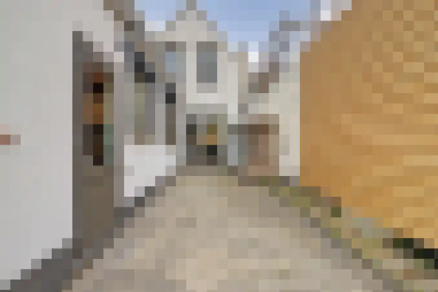 Zuidwal 61 Arnemuiden thumbnail 36