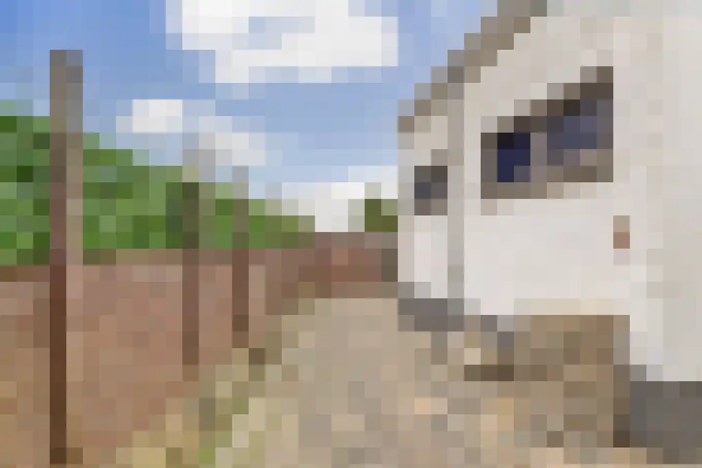Zuidwal 61 Arnemuiden thumbnail 38
