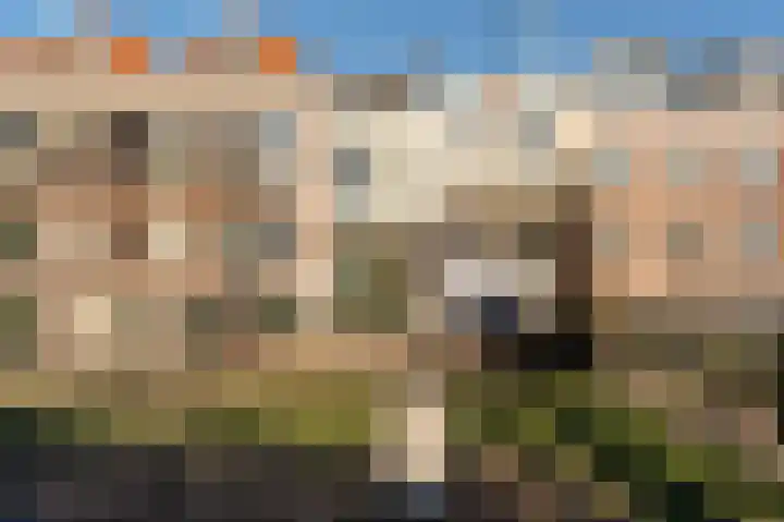 Zuidwal 91 C Den Haag thumbnail 18