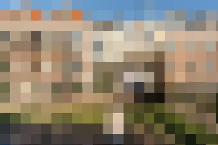 Zuidwal 91 Den Haag thumbnail 13