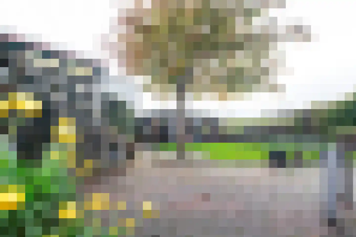 Zuidweg 1 Ouddorp thumbnail 34