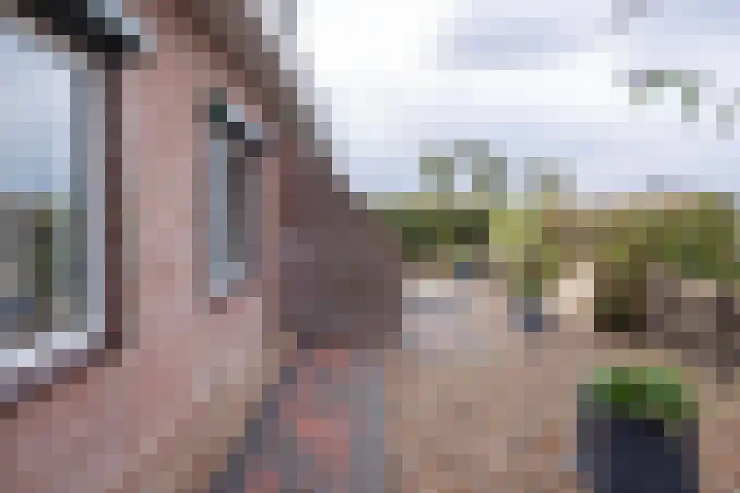 Zuidweg 1 Ouddorp thumbnail 38
