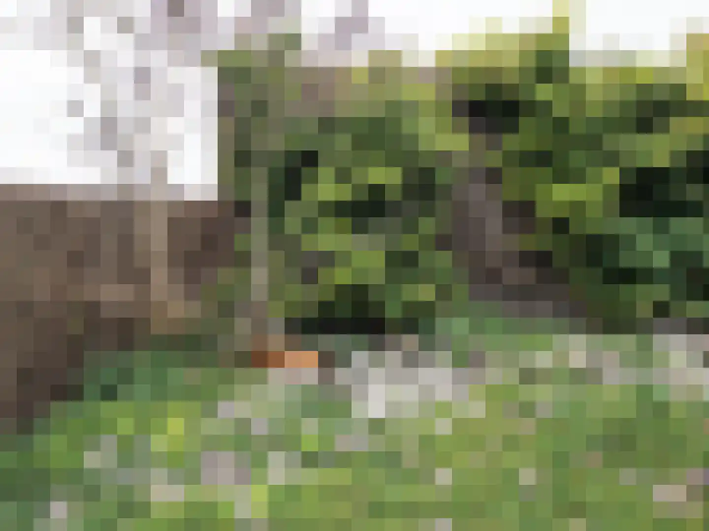 Zuidweg 1 Ouddorp thumbnail 48