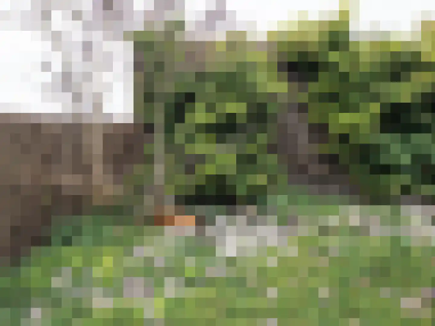 Zuidweg 1 Ouddorp thumbnail 52