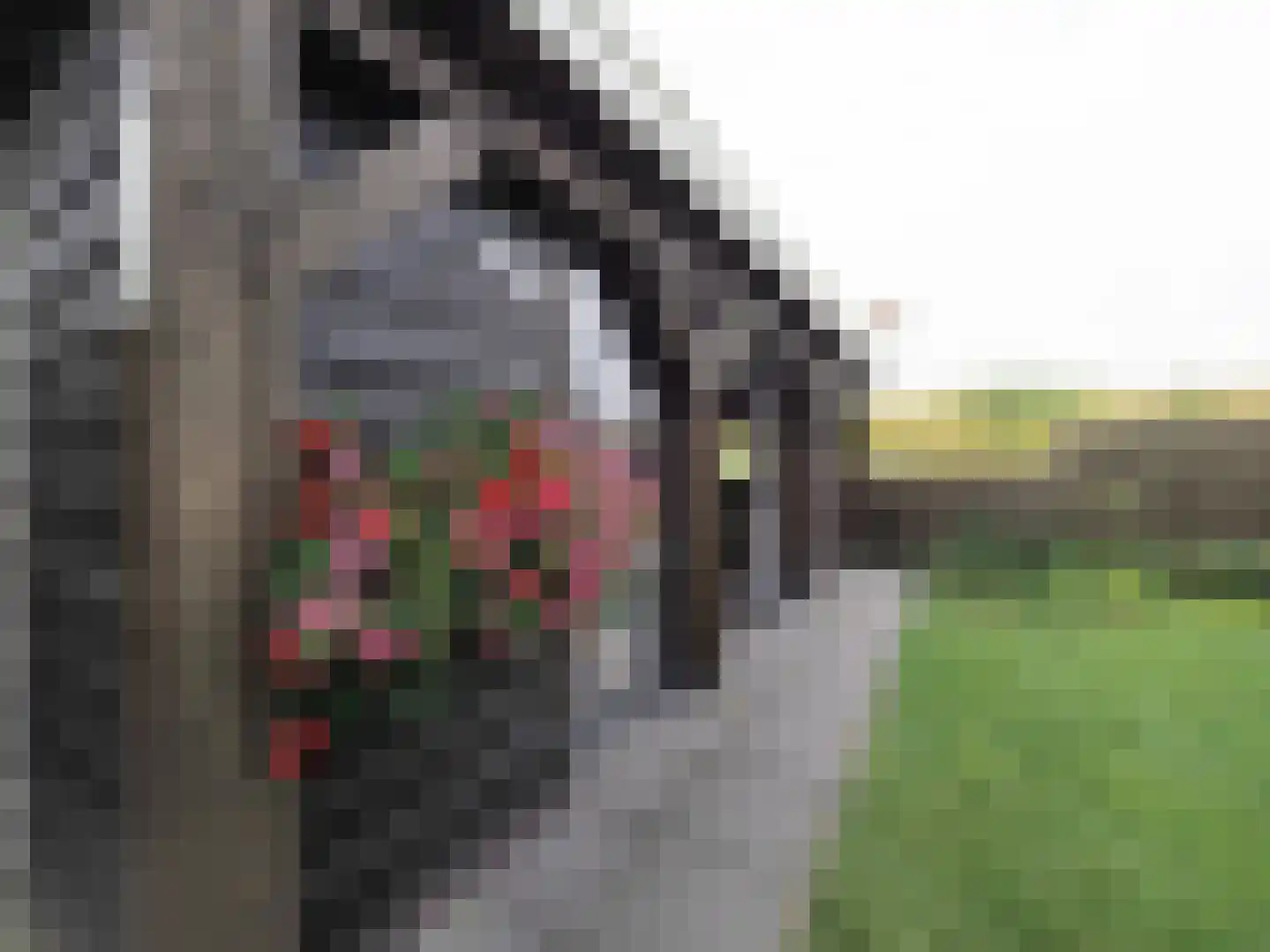 Zuidweg 1 Ouddorp thumbnail 53