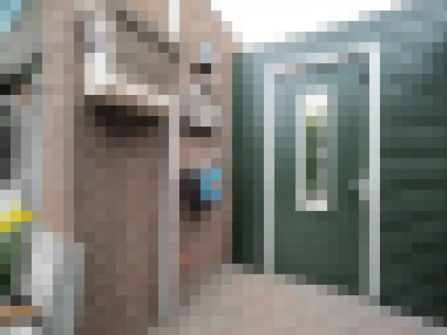 Zuidweg 1 Ouddorp thumbnail 54