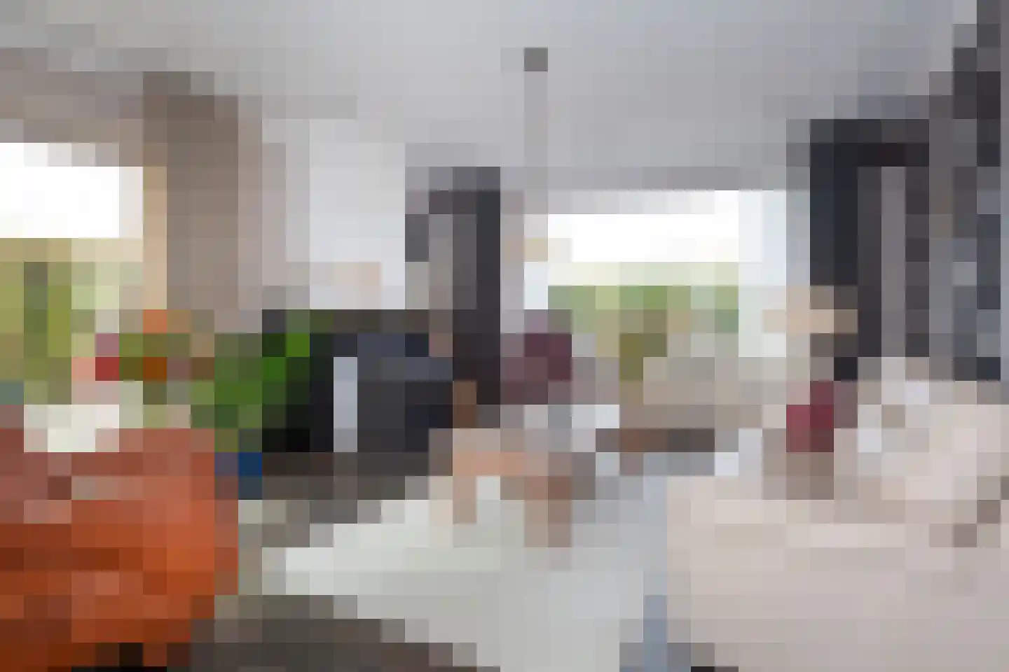 Zuidweg 1 Ouddorp thumbnail 6