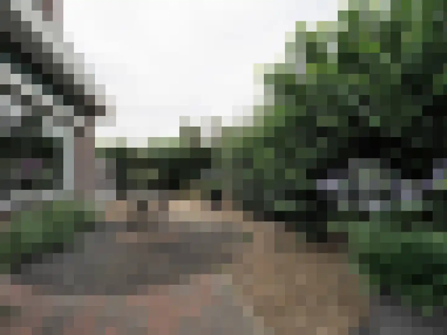 Zuidweg 1 Ouddorp thumbnail 62
