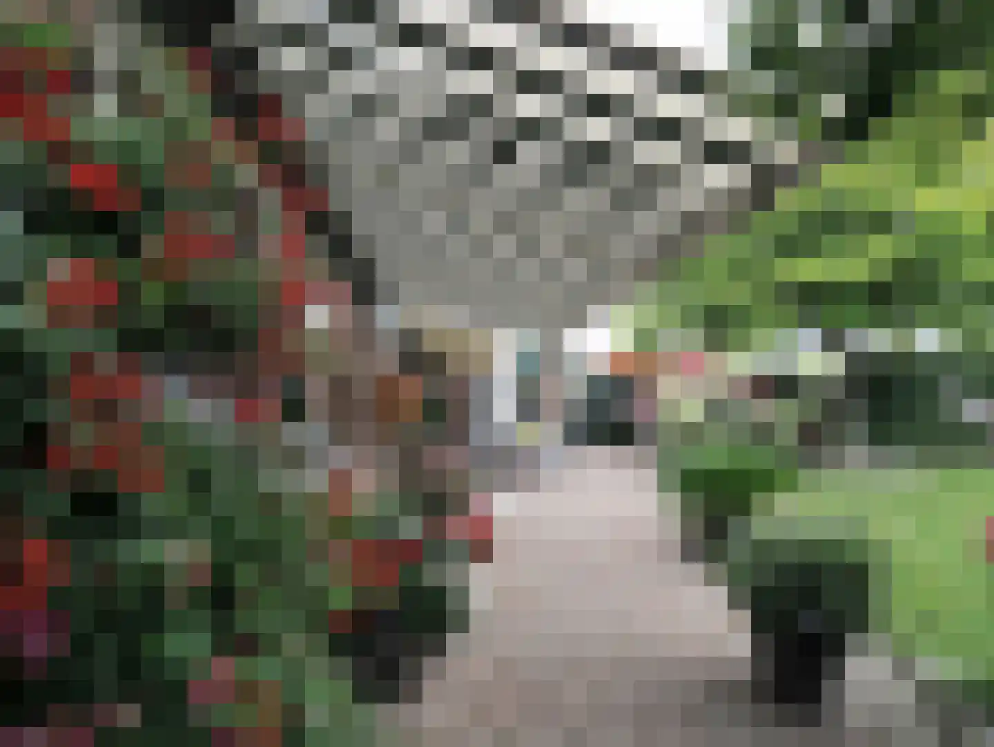 Zuidweg 1 Ouddorp thumbnail 64
