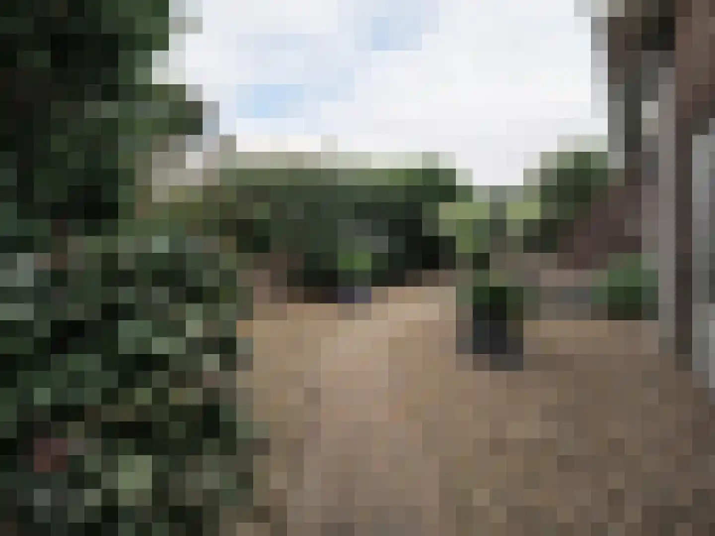 Zuidweg 1 Ouddorp thumbnail 67