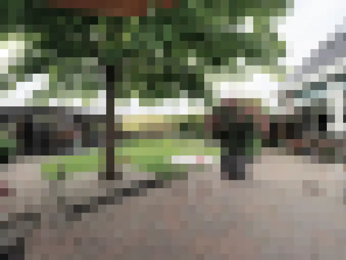 Zuidweg 1 Ouddorp thumbnail 68